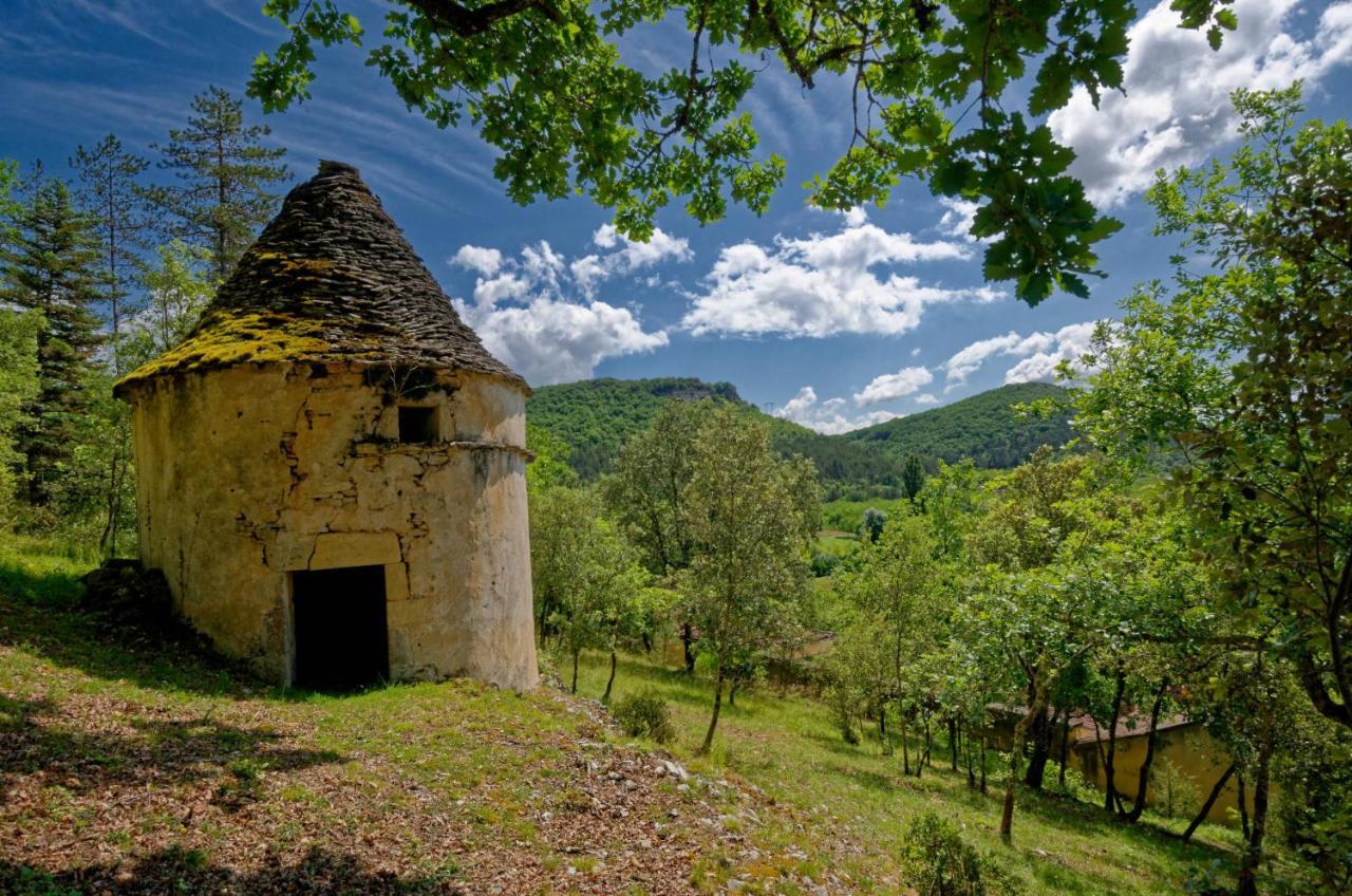 La Tour De Cause Bed & Breakfast Castelnaud La Chapelle Bagian luar foto
