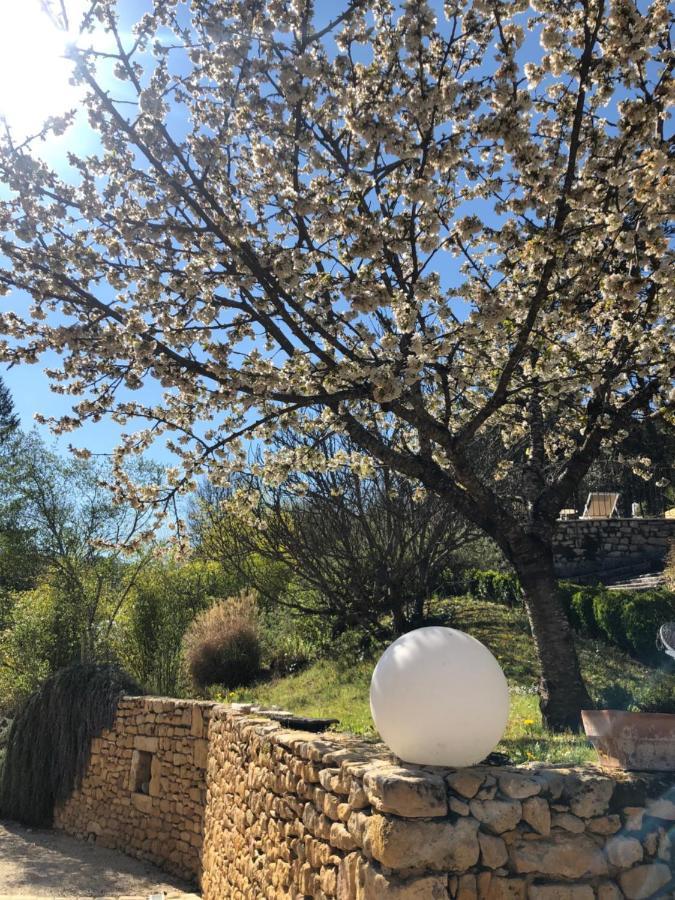 La Tour De Cause Bed & Breakfast Castelnaud La Chapelle Bagian luar foto