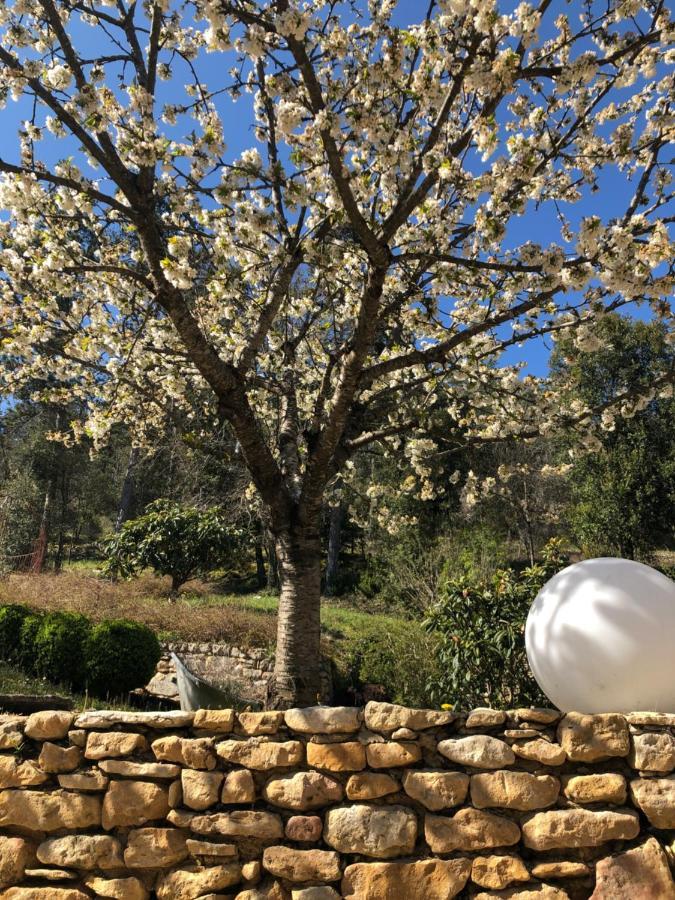 La Tour De Cause Bed & Breakfast Castelnaud La Chapelle Bagian luar foto