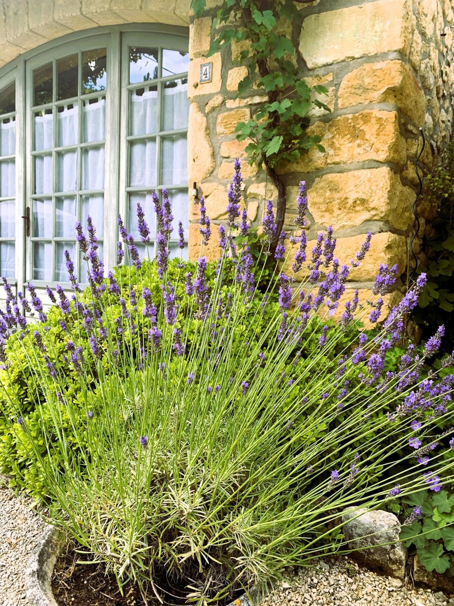 La Tour De Cause Bed & Breakfast Castelnaud La Chapelle Bagian luar foto