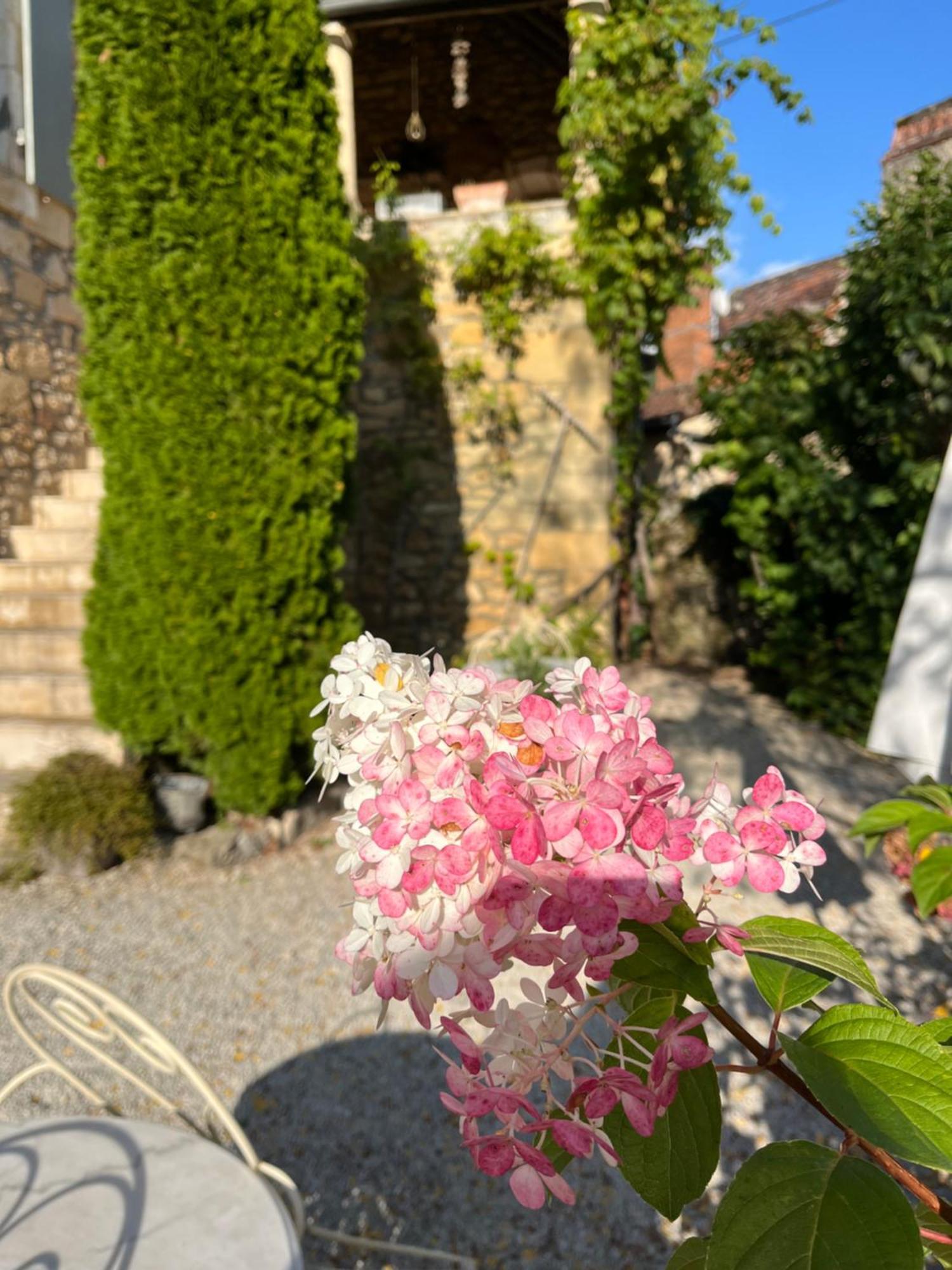 La Tour De Cause Bed & Breakfast Castelnaud La Chapelle Bagian luar foto