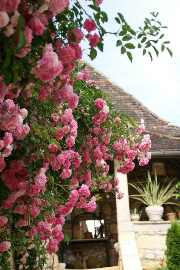 La Tour De Cause Bed & Breakfast Castelnaud La Chapelle Bagian luar foto